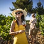 Provence Wine Tour - Small Group Tour from Cannes - The Value of the Tour