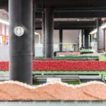 Public guided tour: Production of "wood-cased pencils" - Who Will Enjoy This Tour?