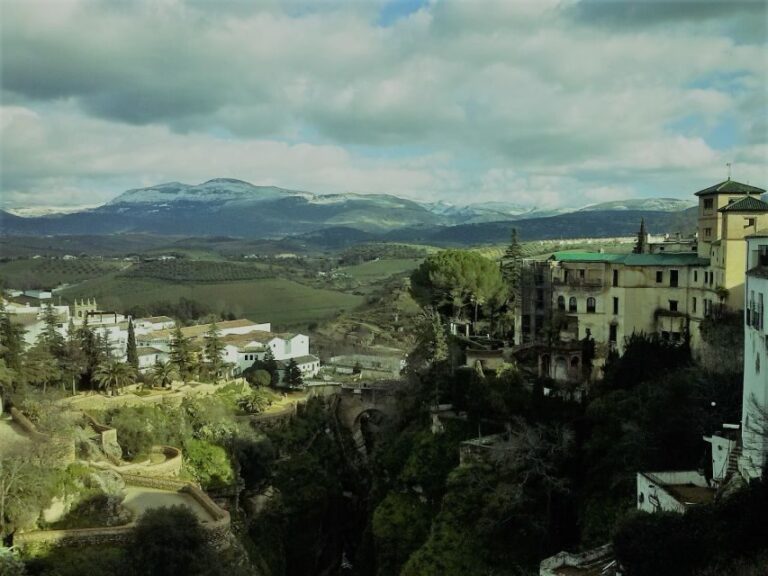 Pueblos Blancos & Ronda: Private Full-Day Tour from Seville - Who Is This Tour Best For?