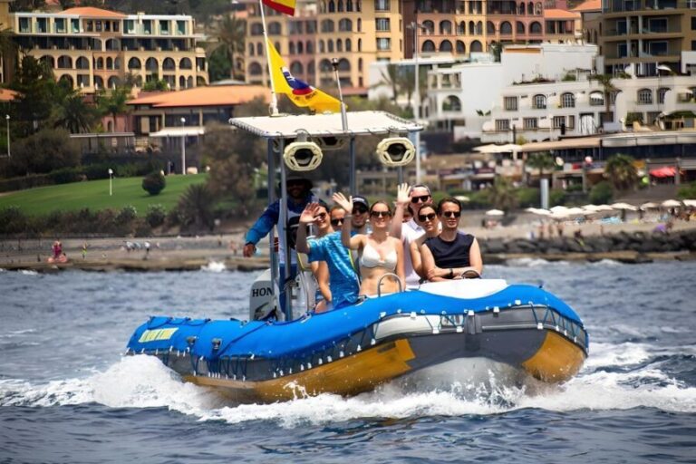 Puerto Colon: Dolphin and Whale Watching Speedboat Cruise - Why This Tour Offers Great Value