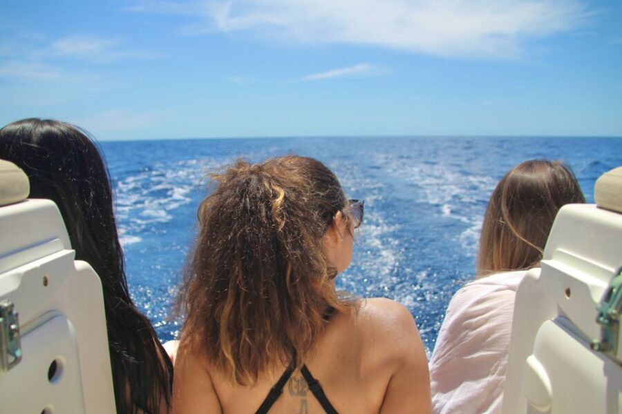 Puerto Colon : Whale & Dolphins Sailing Excursion - What’s Included and Why It Matters