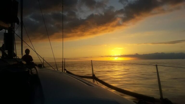 Puerto Colon: Whale-Watching Sailing Tour with Meal & a Swim - What Travelers Are Saying