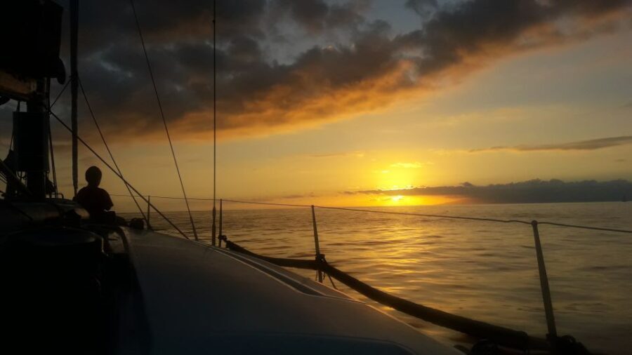 Puerto Colon: Whale-Watching Sailing Tour with Meal & a Swim - What Travelers Are Saying