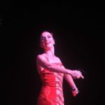 Puerto de la Cruz: Flamenco Show at Casa Ábaco with a Drink - The Value and Overall Experience