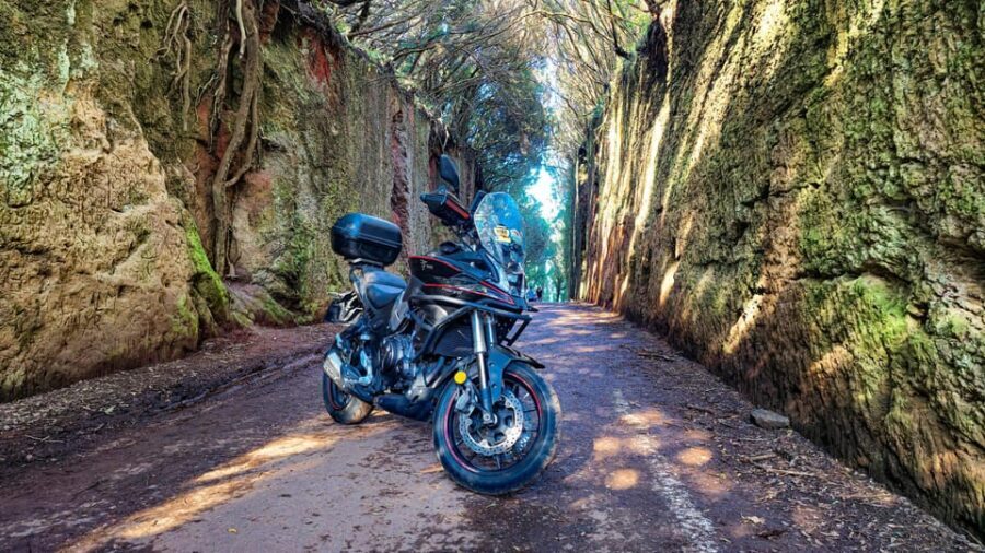 Puerto de la Cruz Motorbike tour through Teide National Park - The Itinerary in Detail