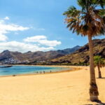Puerto de la Cruz: VIP Getaway Tenerife Playa Teresitas, Science and Culture - What Makes This Tour Stand Out?