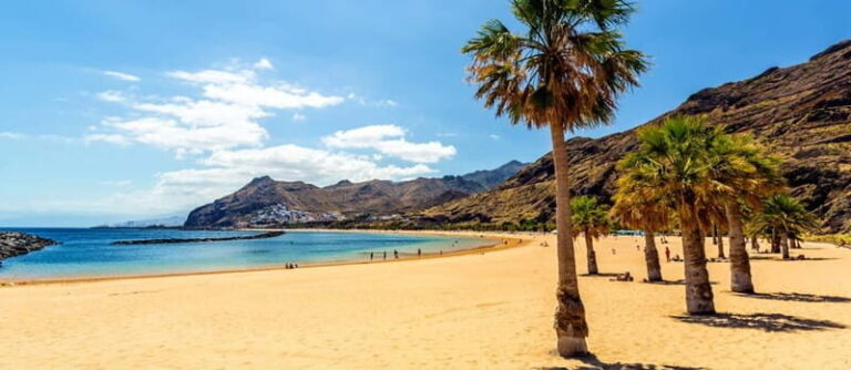 Puerto de la Cruz: VIP Getaway Tenerife Playa Teresitas, Science and Culture - What Makes This Tour Stand Out?