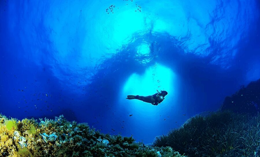 Puerto de Soller: Train and Discover Scuba Diving - Exploring Puerto de Soller: The Gateway to Underwater Adventures