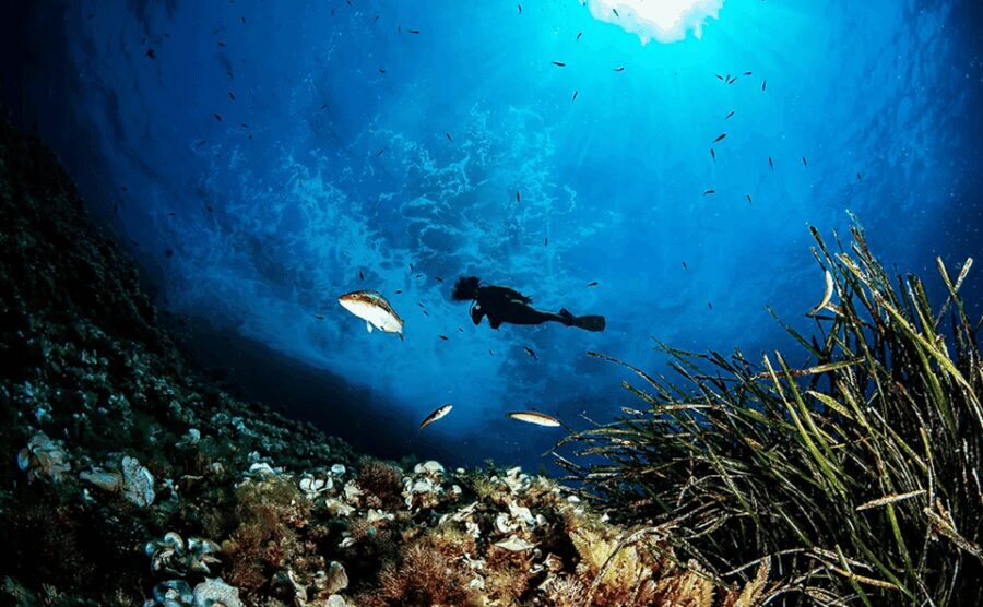 Puerto de Soller: Train and Guided Scuba Diving Experience - The Diving Experience — What You’ll Do