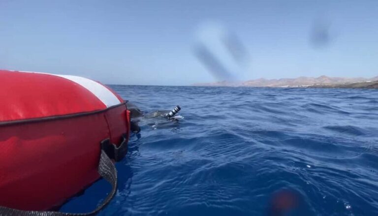 Puerto del Carmen: Freediving Try Dive in Pool or Open Water - What Makes this Freediving Try Dive Stand Out?