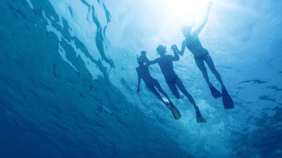 Puerto del Carmen: Snokel tour with an instructor - The Highlights and Unique Features