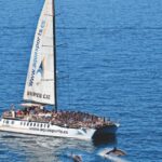 Puerto Rico : 2 hour Dolphin Catamaran Excursion - Who Is This Tour Best For?