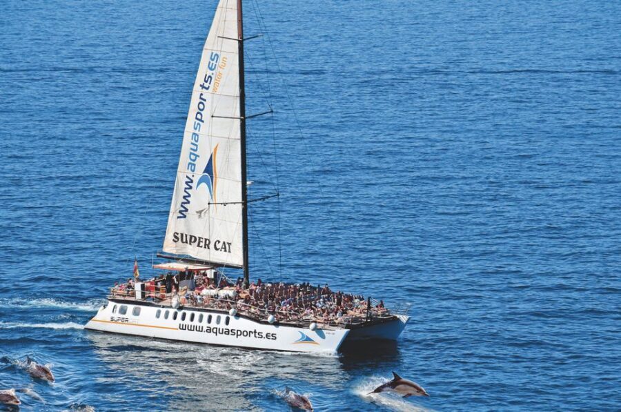 Puerto Rico : 2 hour Dolphin Catamaran Excursion - Who Is This Tour Best For?
