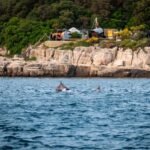 Pula: Brijuni National Park Sunset, Dolphins & Dinner Cruise - Who Will Love This Experience?