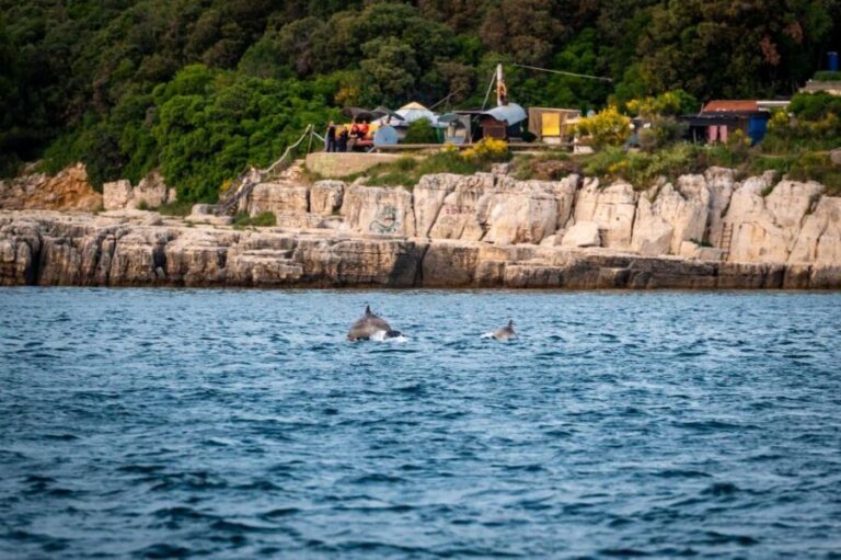 Pula: Brijuni National Park Sunset, Dolphins & Dinner Cruise - Who Will Love This Experience?