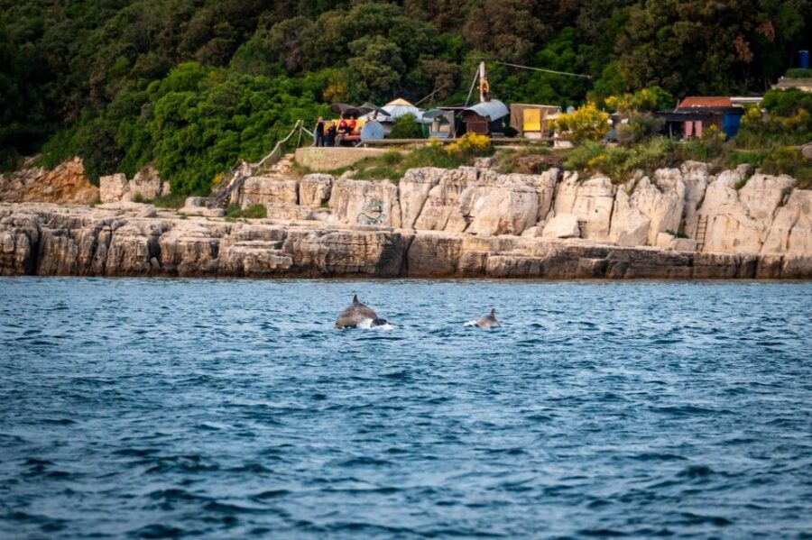 Pula: Brijuni National Park Sunset, Dolphins & Dinner Cruise - Who Will Love This Experience?