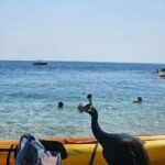 Pula: Kayak Tour to Island St. Jerolim and Kozada - What’s Included and What to Bring