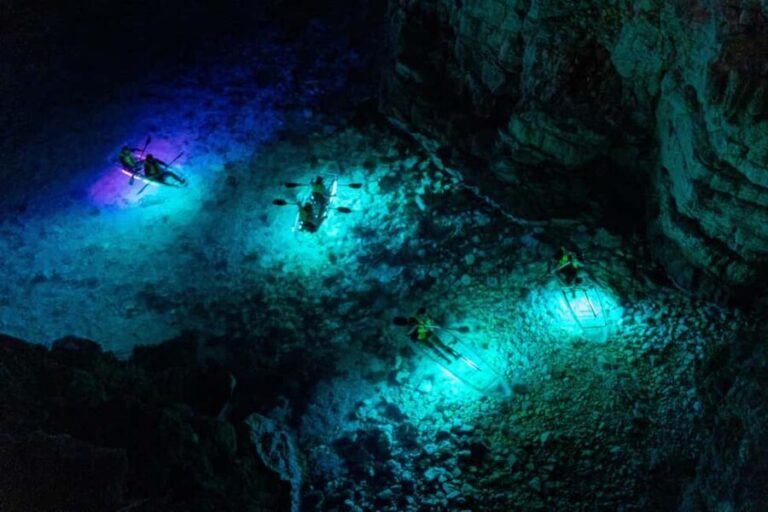 Pula: Night Kayak Tour with Glowing Kayaks - Is This Tour Worth It?