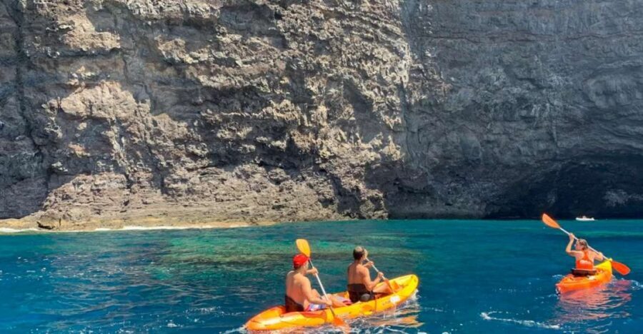 Punta de Teno: Kayak Safari overlooking Los Gigantes Cliffs - Is It Worth the Price?
