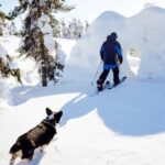 Pyhä: Skiing Tour in Arctic Forest - Final Thoughts: Is It Worth It?