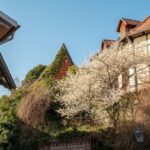 Quedlinburg: Guided City Highlights Walking Tour - Meeting Point and Initial Impressions