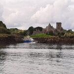 Queensferry: Sightseeing Cruise to Inchcolm Island - Why This Tour Offers Great Value