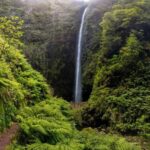 Queimadas Caldeirão Verde Madeira Island Walk - Practical Details to Keep in Mind