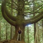 Queimadas Natural Park 5-Hour Guided Hike - Final Thoughts