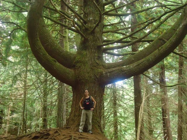 Queimadas Natural Park 5-Hour Guided Hike - Final Thoughts