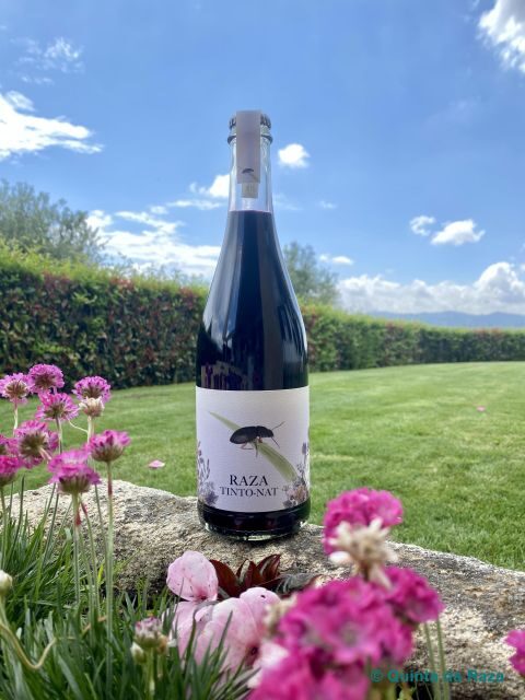 Quinta da Raza Natural Wines - Who Will Enjoy This Tour Most?