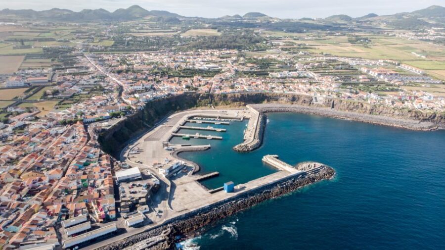 Rabo de Peixe: Sperm Whale Sanctuary Expedition - Value and Practicalities