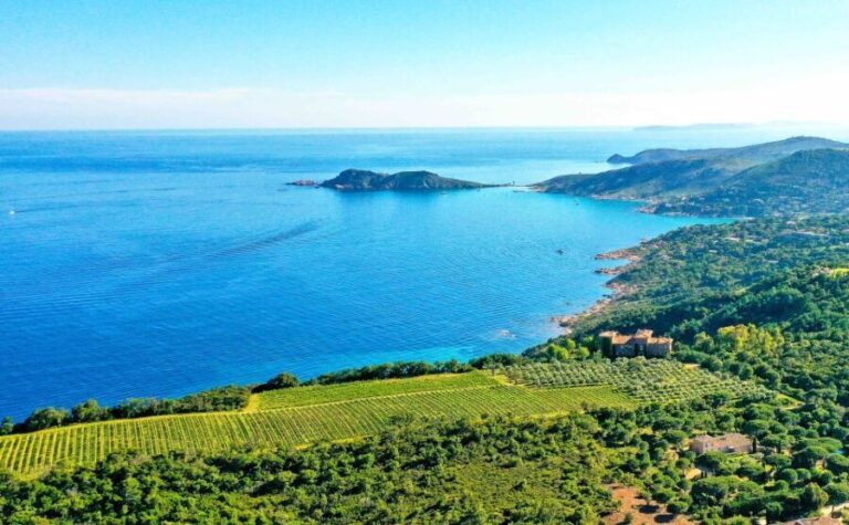 Ramatuelle: Tracks & Tasting Winery Tour by Mountain E-Bike - Frequently Asked Questions