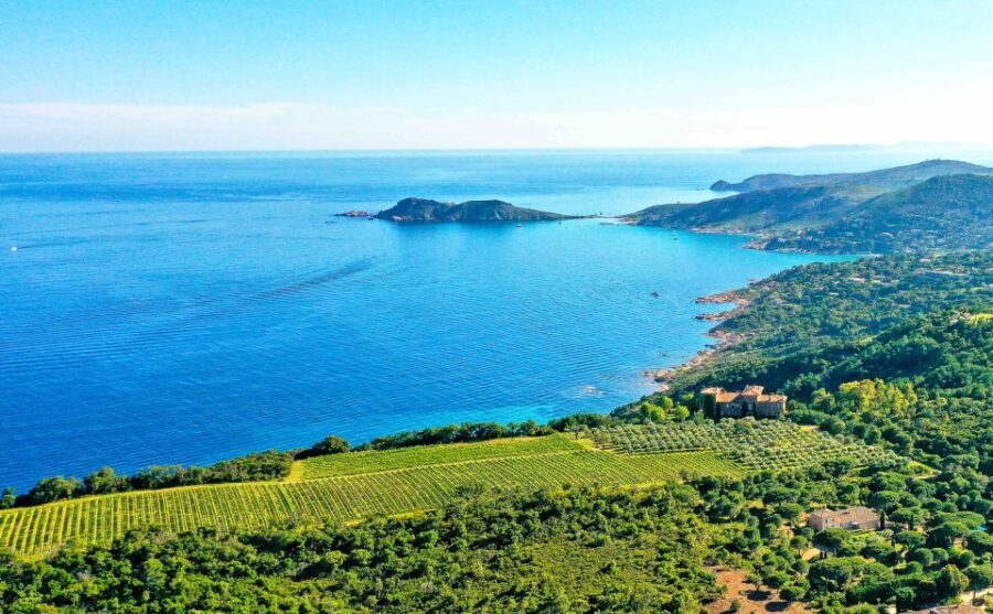 Ramatuelle: Tracks & Tasting Winery Tour by Mountain E-Bike - Frequently Asked Questions