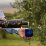 Randazzo: Extra virgin olive oil tasting and olive grove tour - The Technical Tasting of Olive Oils