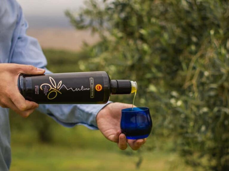 Randazzo: Extra virgin olive oil tasting and olive grove tour - The Technical Tasting of Olive Oils