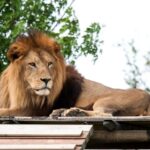 Ravenna: Safari Ravenna entrance ticket - The Entrance and First Impressions