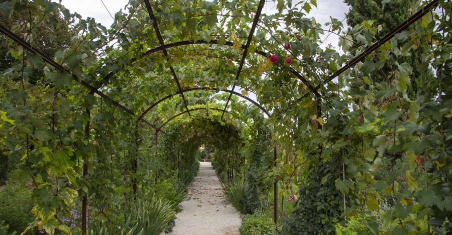 Recanati: Orto sul colle dell'infinito Entry Ticket - The Sum Up: Who Will Love This Experience?