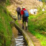Referta / Castelejo - Levada Walk - What Travelers Say