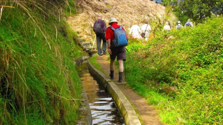 Referta / Castelejo - Levada Walk - What Travelers Say