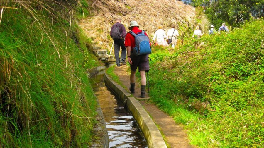 Referta / Castelejo - Levada Walk - What Travelers Say