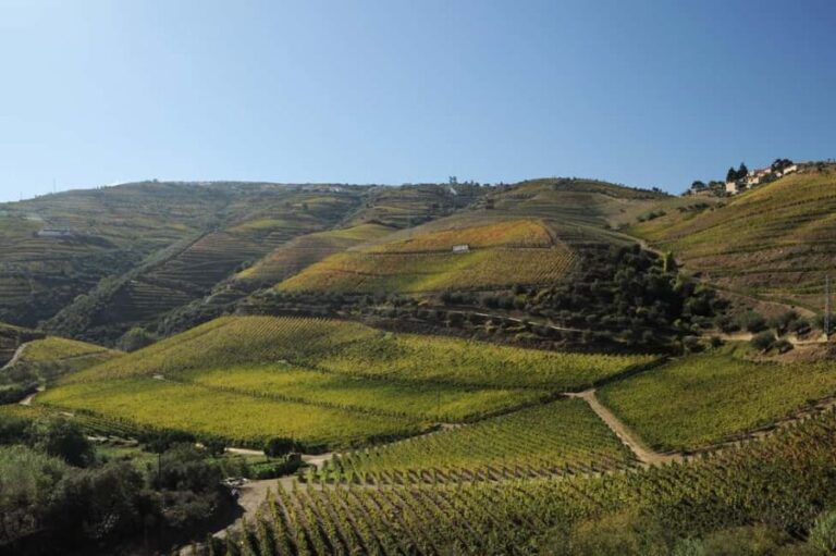 Régua/Pocinho/Régua - The Value of This Tour