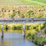 Régua: Wine Tasting at a Farm, Traditional Lunch, Cruise and Train - Who Will Love This Tour?