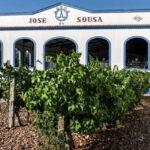 Reguengos de Monsaraz: José de Sousa Winery Tour and Tasting - Practical Details and Value