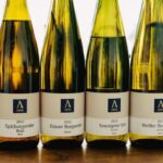 Reil, Mosel: Guided organic wine tasting and cellar tour - Practical Details