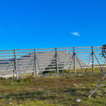 Reindeer and Stories: A Sami Cultural Adventure - Final Thoughts: Is It Worth It?