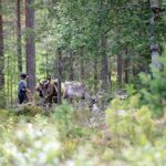 Reindeer Hike in Kuusamo nature - The guides and their stories