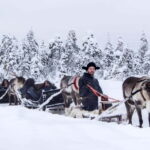 Reindeer Safari at a 200-Year-Old Farm & Long Sled Ride - A Thorough Look at the Reindeer Safari Experience
