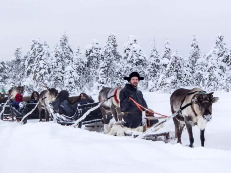 Reindeer Safari at a 200-Year-Old Farm & Long Sled Ride - A Thorough Look at the Reindeer Safari Experience