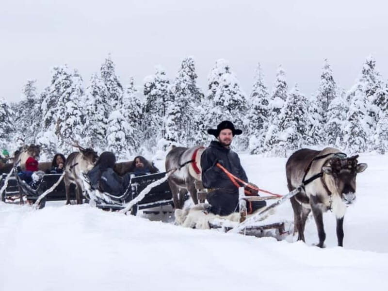 Reindeer Safari at a 200-Year-Old Farm & Long Sled Ride - A Thorough Look at the Reindeer Safari Experience