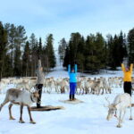 Reindeer yoga in Kuusamo - The Experience Itself: Step-by-Step